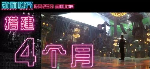 在线国产福利视频